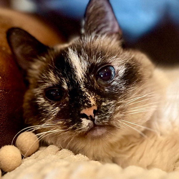 Meet your Posher, Heather - Picture 8 of 8